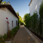 acceso a las casas por pasillo empedrado